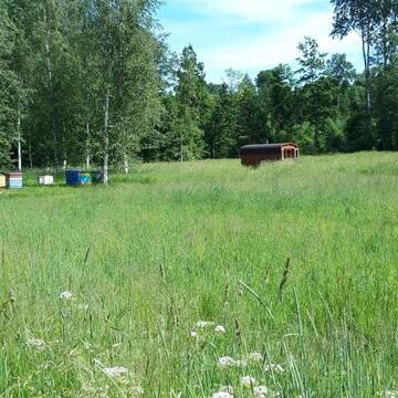Фото номера Дом с 2 спальнями Дома для отпуска Lauku māja Riesti г. Līgo 8